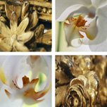 Motiv: Gold Framing Orchids